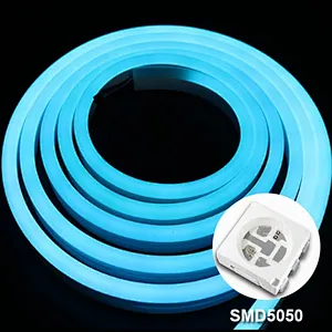 DC12V IP67 SMD5050 WS2811 Smart Control RGB Color-Changing LED Neon Strip